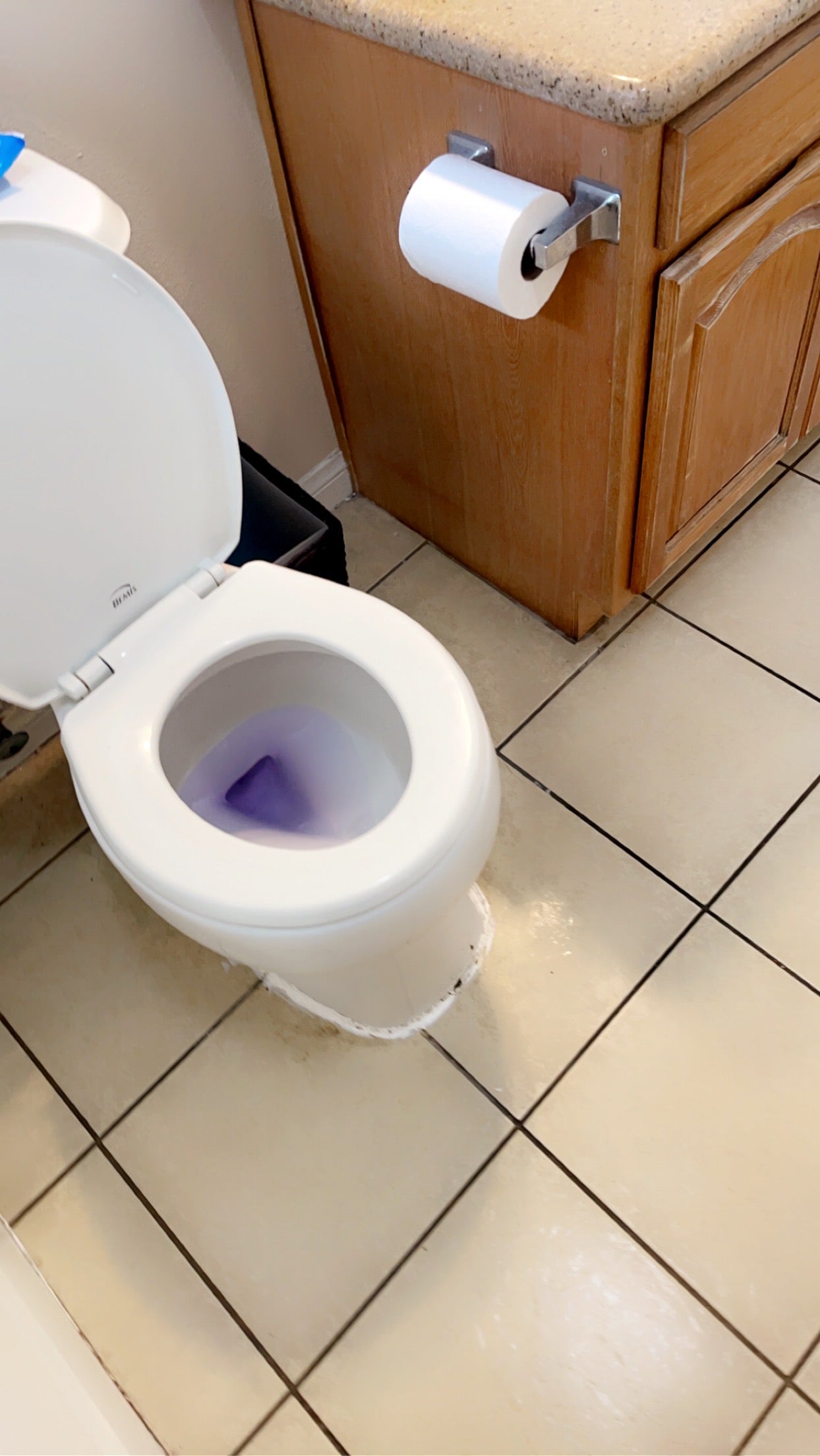Bathroom Cleaning