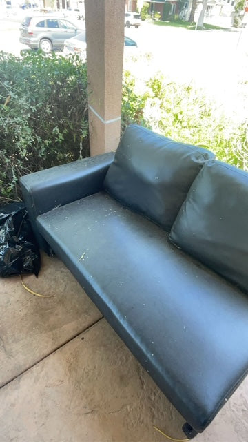 Patio Cleaning